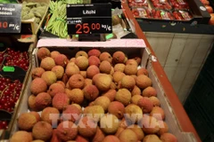 Vietnam gains stronger foothold in EU market two years after EVFTA takes effect