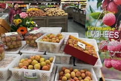 Vietnam, Australia post record high in two-way trade