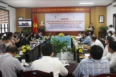 Japanese experts to help Hoi An restore Cau Pagoda