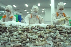 Shrimp remains Vietnam’s largest currency earner among fishery products