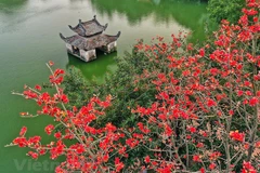 Friendship Journey held in Hanoi to strengthen ties with int’l friends