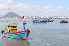 Deputy PM orders intensified handling of IUU fishing at sea, ports 