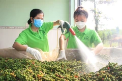 Untapped opportunities for Vietnamese pepper exports to UK