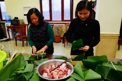 Vietnamese in China gather to welcome Lunar New Year