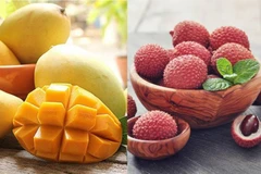 Good signals for Vietnamese fruit exports