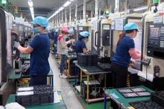 Vietnam needs national action plan to promote responsible business practices: workshop