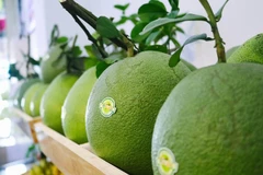 Vietnamese pomelo gets green light to enter US market