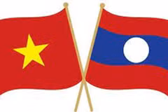 Vietnamese Consul General in Luang Phrabang presents credentials
