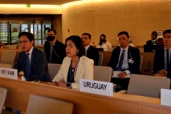 Vietnam shares efforts on human rights