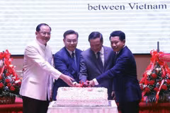 Diplomacy plays great role in growth of Vietnam-Laos ties: Ambassador