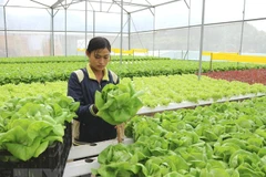 Digital transformation helps promote sustainable agriculture development