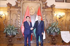 Vietnamese, Hungarian top legislators hold talks
