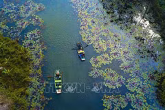Ninh Binh ceremony to mark 50 years of UNESCO convention on cultural, natural heritage protection