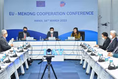 Vietnam welcomes EU’s engagement in Mekong subregion’s development