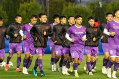 Vietnam face challenges before clash with Japan