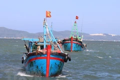 Ninh Thuan works to enhance offshore fishing capacity