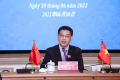 Elected bodies of HCM City, Shanghai foster partnership