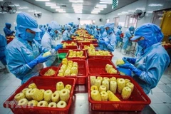 Veggie, fruit exports changing markets