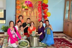 Vietnamese people’s solidarity has never shone so brightly: ambassador