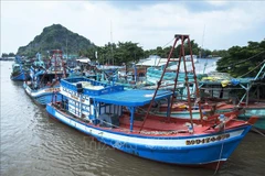 EC team to inspect Kien Giang’s efforts to prevent IUU fishing