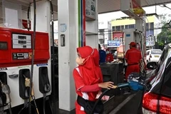 Indonesia to extend gas exports to Singapore