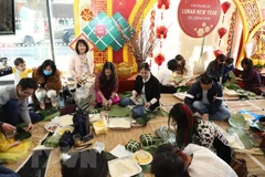  Overseas Vietnamese across nations celebrate Lunar New Year