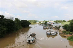 Authorities working to protect Vietnamese citizens tricked to work illegally in Cambodia: official