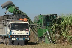 Anti-dumping investigation into cane sugar extended