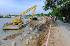 Erosion worsening along Mekong Delta rivers, coast