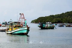 Fishery sector takes various measures to get EC yellow card removed