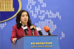 Vietnam pays attention to citizen protection in Ukraine: spokesperson