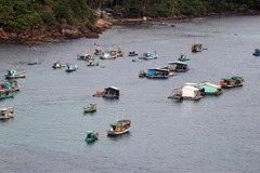 Kien Giang channels resources into fishery infrastructure development