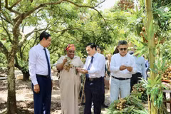 Hung Yen longan promoted among int'l diplomatic corps, industry associations
