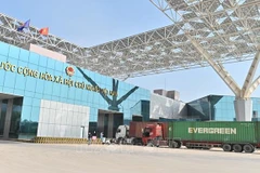 Domestic firms supported to boost exports to China