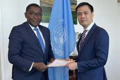 UN promises support for Vietnam’s energy transition scheme 