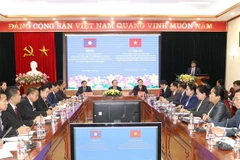 Vietnam, Laos step up cooperation in mass mobilisation