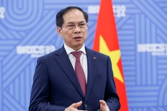 Deputy Prime Minister and Minister of Foreign Affairs Bui Thanh Son. Photo: Vietnam government portal