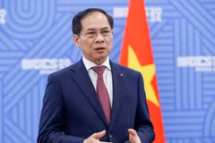 Deputy Prime Minister and Minister of Foreign Affairs Bui Thanh Son. Photo: Vietnam government portal