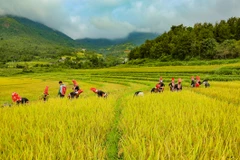 Binh Lieu landscapes and cultural values win tourists’ hearts