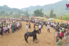 Horse racing in Lai Chau enthrals visitors