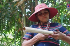 Study tourism promoted in ethnic minority communities