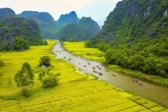 Ninh Binh – a tourist magnet