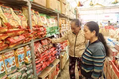 Domestic trade to contribute 13.5 percent of GDP by 2025