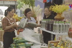 Trade fair empowers ethnic minority, mountainous areas