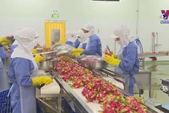 Vietnam’s vegetable, fruit exports likely to hit 4 billion USD
