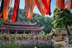 Get lost in the fairyland in Dia Tang Phi Lai pagoda