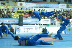 Vietnamese martial art recognised as intangible cultural heritage