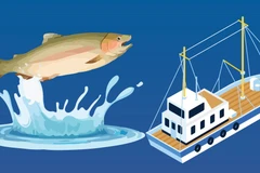 Vietnam charts vision for sustainable, modern fisheries by 2050 