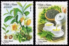 Postage stamp collection spotlights Vietnamese tea 