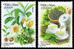 Postage stamp collection spotlights Vietnamese tea 